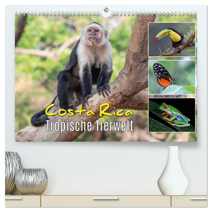 Costa Rica - Tropische Tierwelt (CALVENDO Premium Wandkalender 2025)