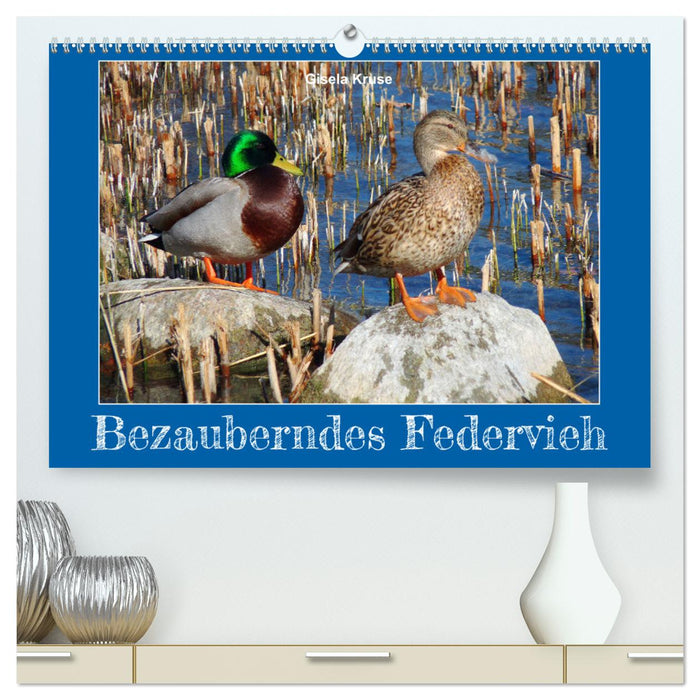 Bezauberndes Federvieh (CALVENDO Premium Wandkalender 2025)