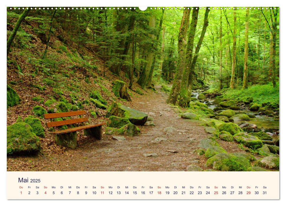 Bänke. In der Ruhe liegt die Kraft. (CALVENDO Wandkalender 2025)