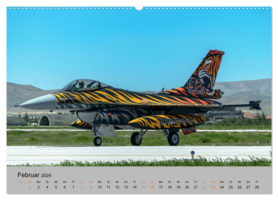 Kampfjet F-16 The Fighting Falcon (CALVENDO Premium Wandkalender 2025)