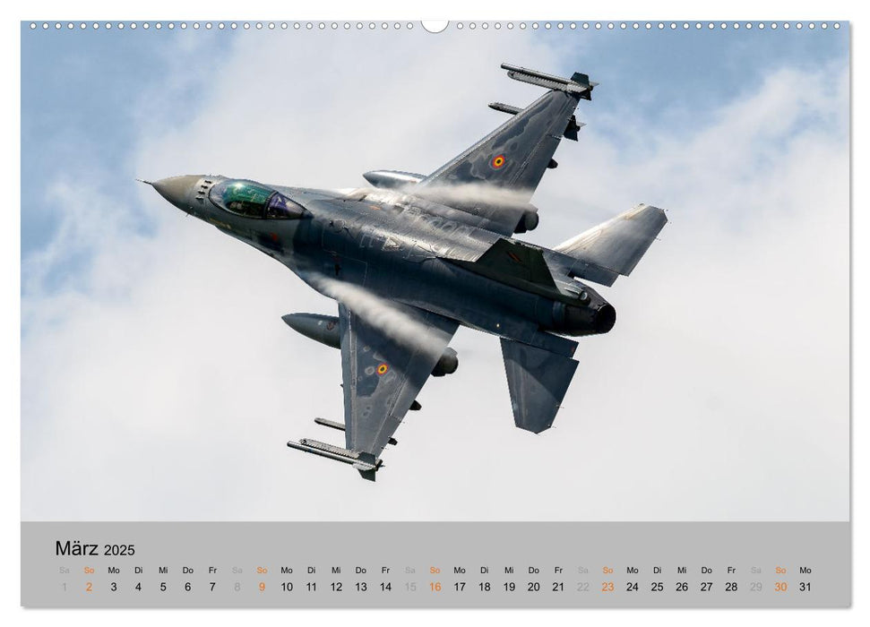 Kampfjet F-16 The Fighting Falcon (CALVENDO Premium Wandkalender 2025)