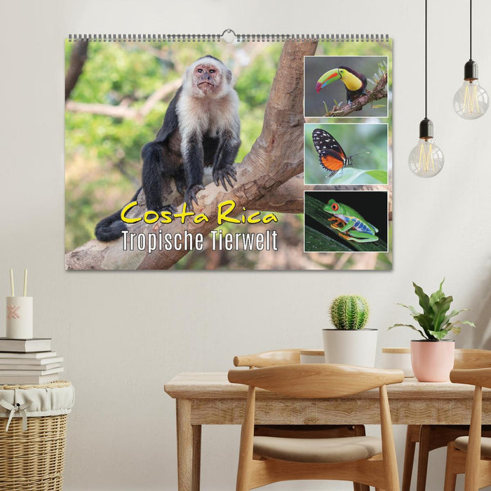 Costa Rica - Tropische Tierwelt (CALVENDO Wandkalender 2025)