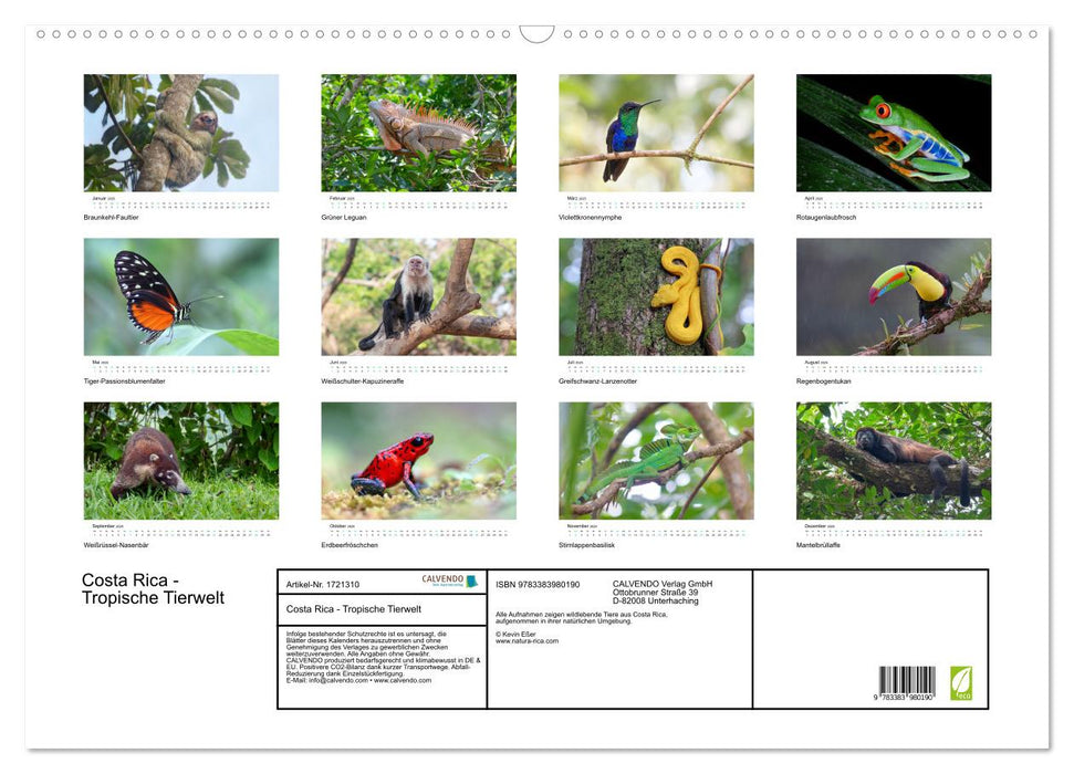 Costa Rica - Tropische Tierwelt (CALVENDO Wandkalender 2025)