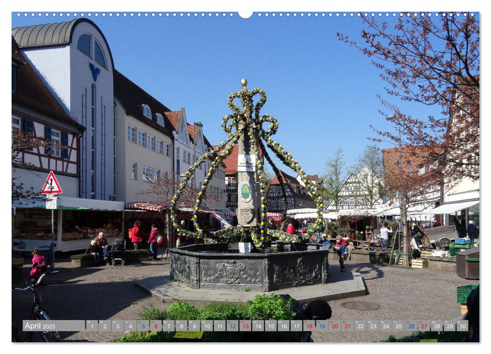 Kirchheim/Teck im Fokus (CALVENDO Wandkalender 2025)