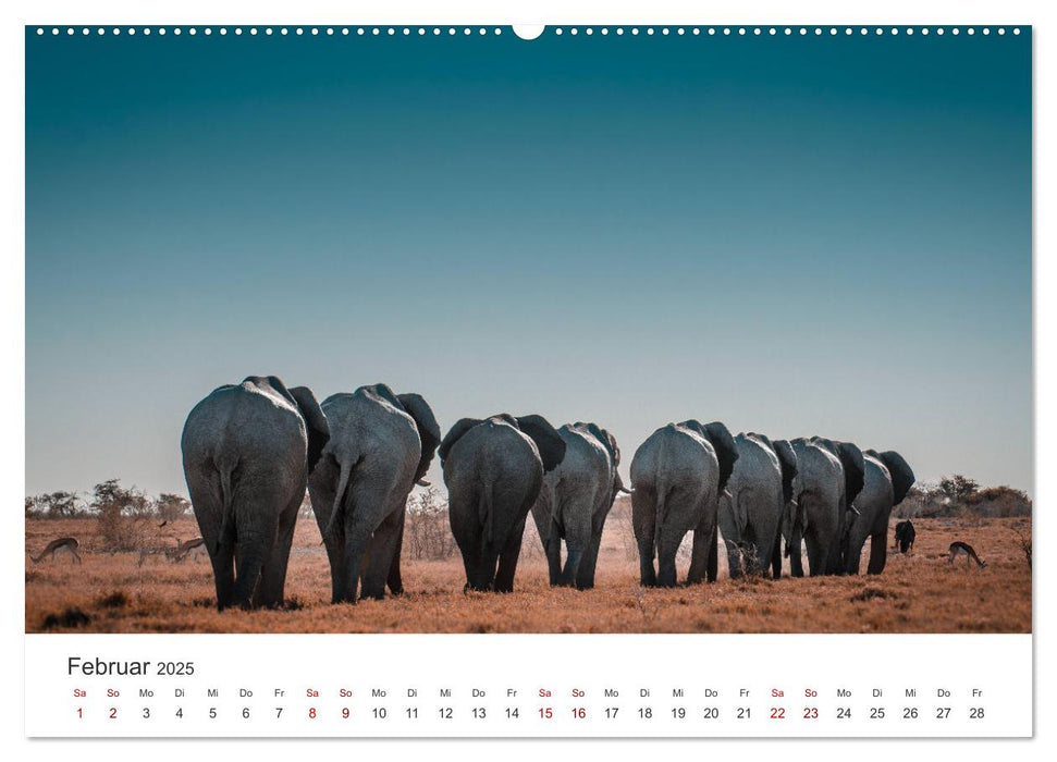 Namibia - Das wunderschöne Land am Atlantik. (CALVENDO Premium Wandkalender 2025)