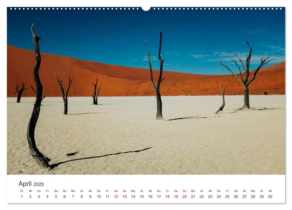 Namibia - Das wunderschöne Land am Atlantik. (CALVENDO Premium Wandkalender 2025)