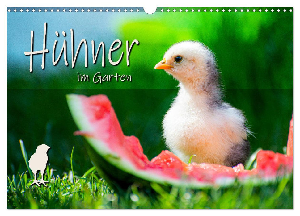 Hühner im Garten (CALVENDO Wandkalender 2025)