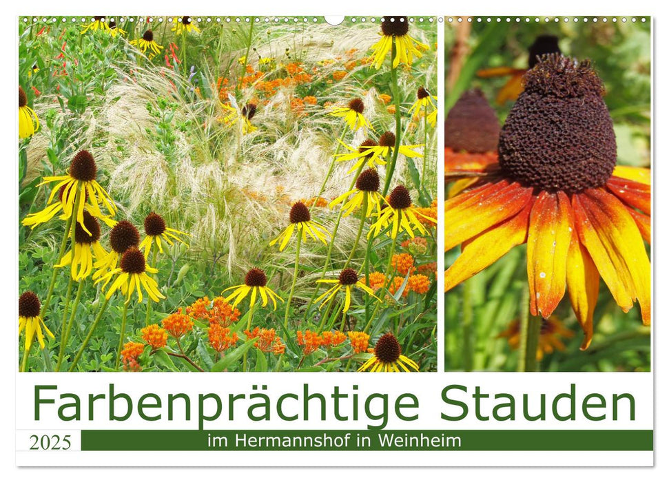 Farbenprächtige Stauden im Hermannshof in Weinheim (CALVENDO Wandkalender 2025)