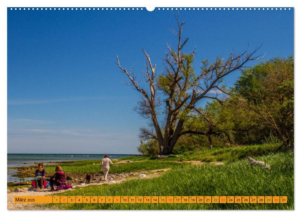 Wismarer Bucht - Impressionen zwischen Klützer Winkel und der Insel Poel (CALVENDO Wandkalender 2025)