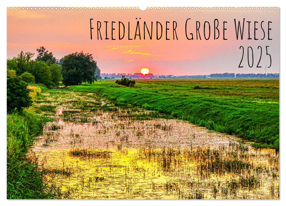 Friedländer Große Wiese (CALVENDO Wandkalender 2025)