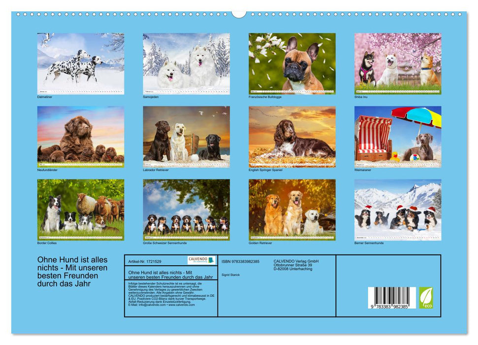 Ohne Hund ist alles nichts - Mit unseren besten Freunden durch das Jahr (CALVENDO Premium Wandkalender 2025)