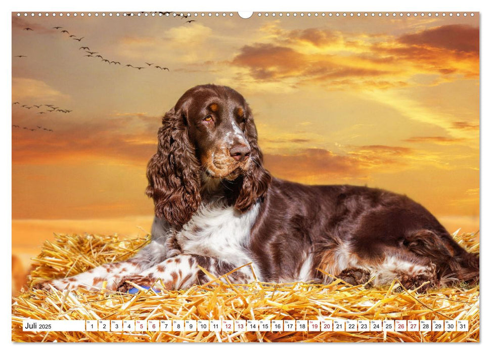 Ohne Hund ist alles nichts - Mit unseren besten Freunden durch das Jahr (CALVENDO Premium Wandkalender 2025)