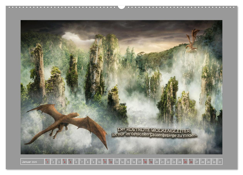 Wo die wilden Drachen wohnen (CALVENDO Premium Wandkalender 2025)