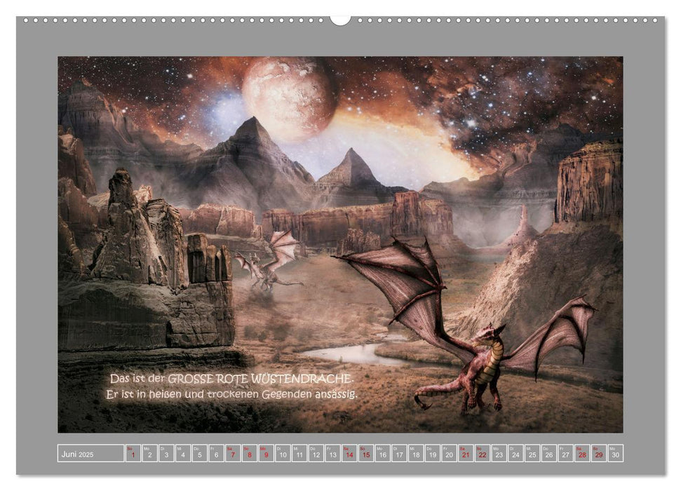 Wo die wilden Drachen wohnen (CALVENDO Premium Wandkalender 2025)