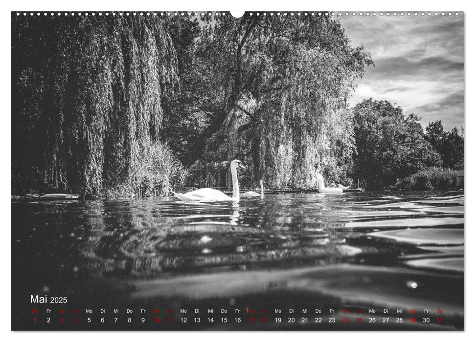 FREIWASSERLUST (CALVENDO Premium Wandkalender 2025)