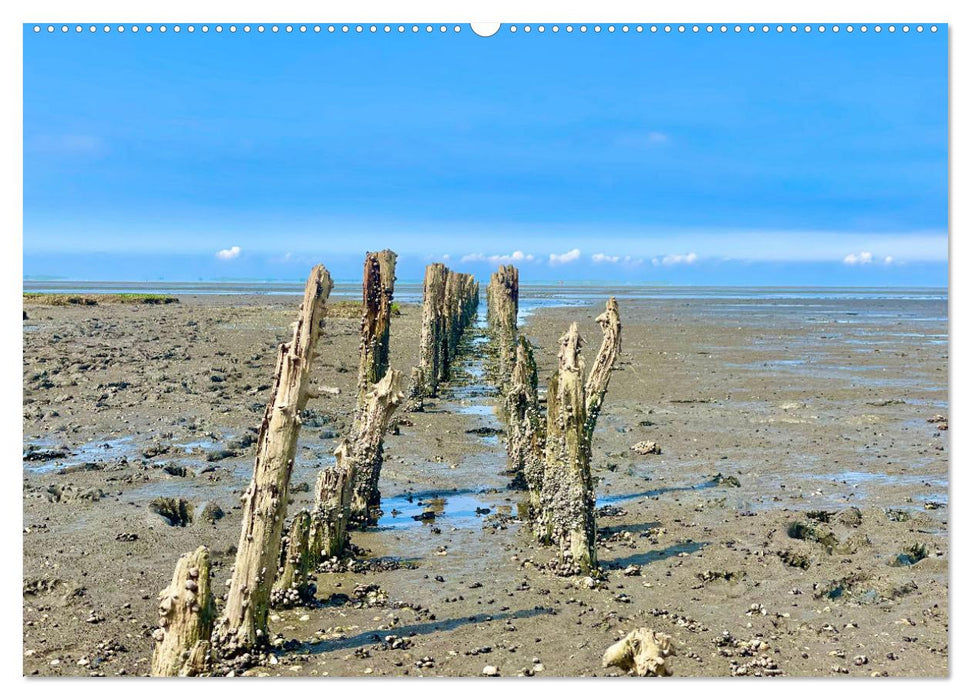 Watt'n Kalender: Nordseeküste (CALVENDO Premium Wandkalender 2025)