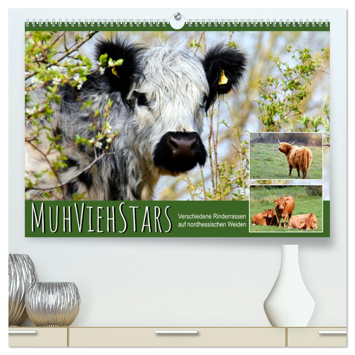 MuhViehStars (CALVENDO Premium Wandkalender 2025)