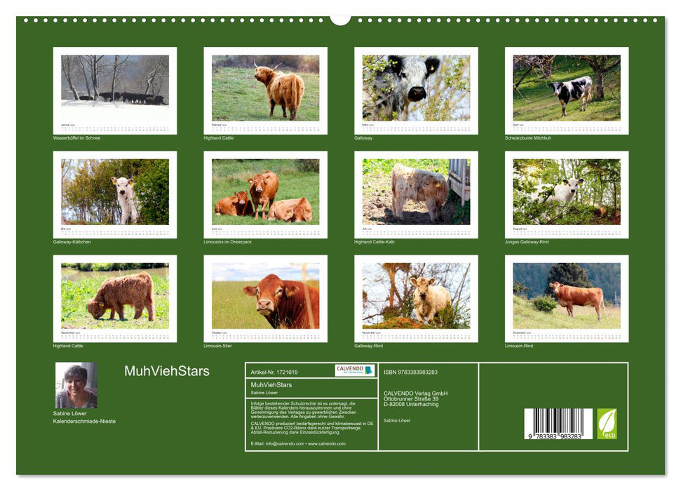 MuhViehStars (CALVENDO Premium Wandkalender 2025)