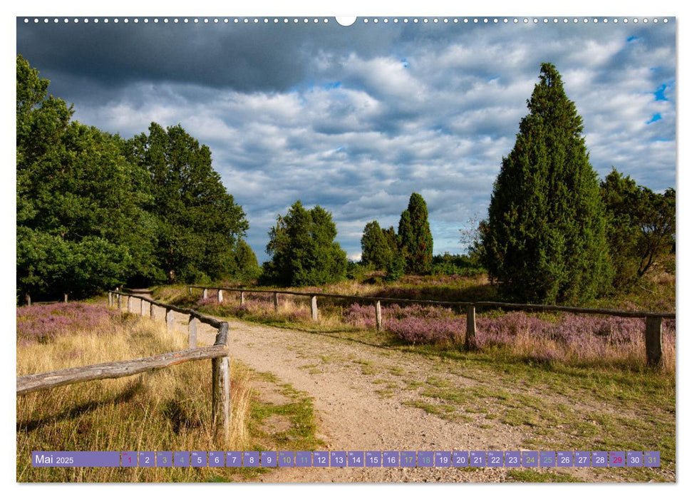 Die Farbenpracht der Lüneburger Heide (CALVENDO Premium Wandkalender 2025)