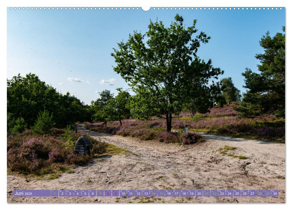 Die Farbenpracht der Lüneburger Heide (CALVENDO Premium Wandkalender 2025)