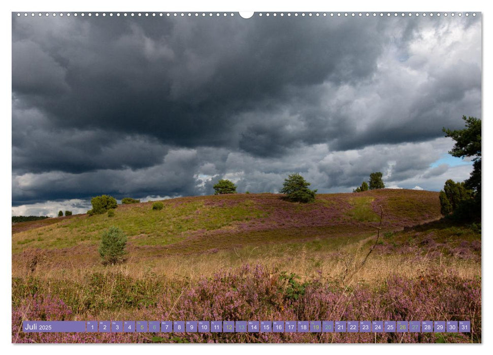 Die Farbenpracht der Lüneburger Heide (CALVENDO Premium Wandkalender 2025)