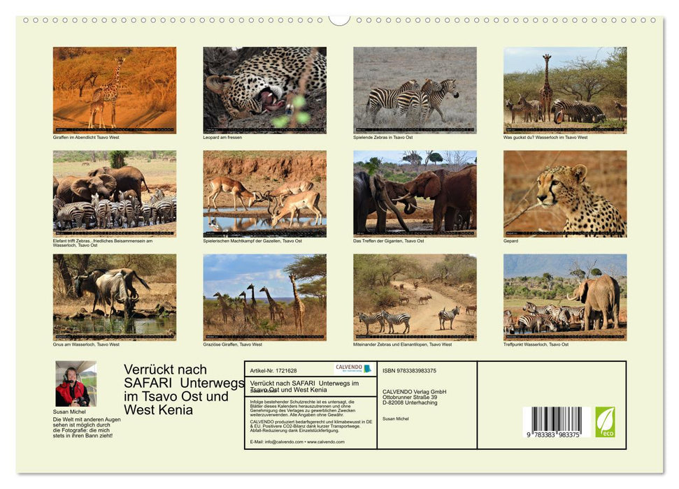 Verrückt nach SAFARI Unterwegs im Tsavo Ost und West Kenia (CALVENDO Premium Wandkalender 2025)