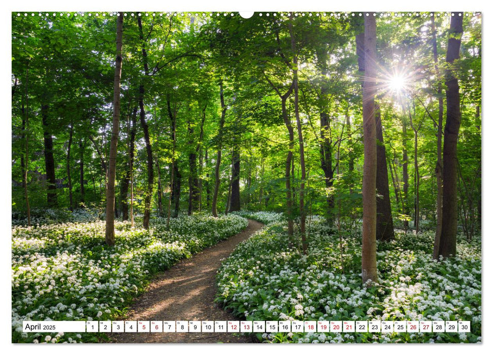 Sonnige Augenblicke (CALVENDO Premium Wandkalender 2025)