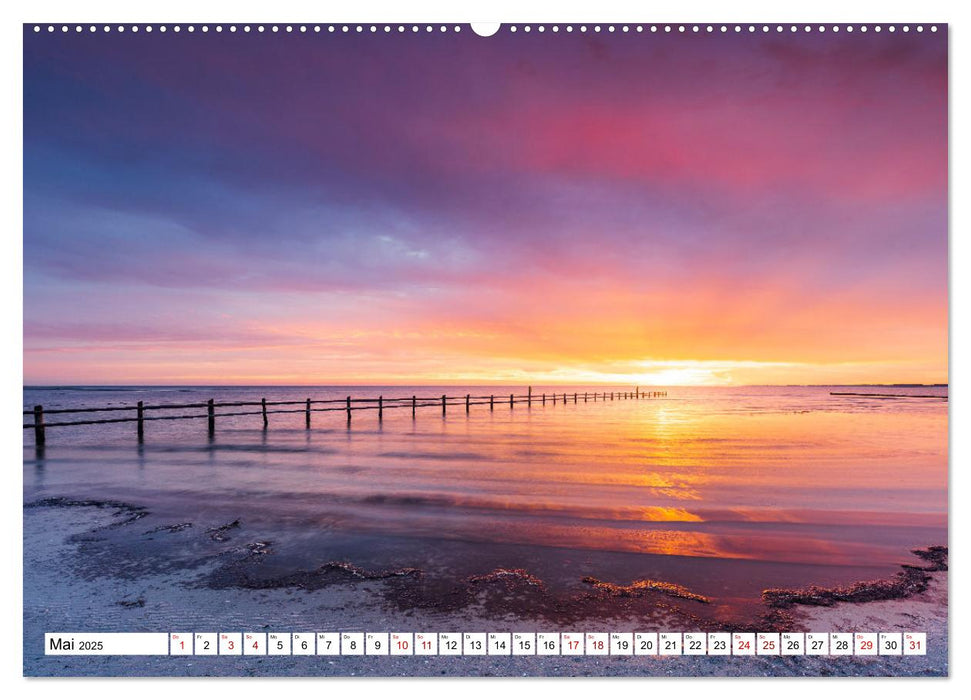 Sonnige Augenblicke (CALVENDO Premium Wandkalender 2025)