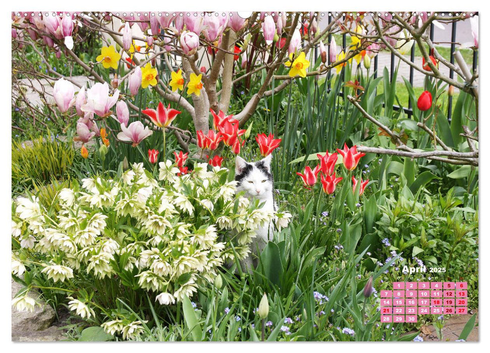 Urlaub im Garten (CALVENDO Premium Wandkalender 2025)