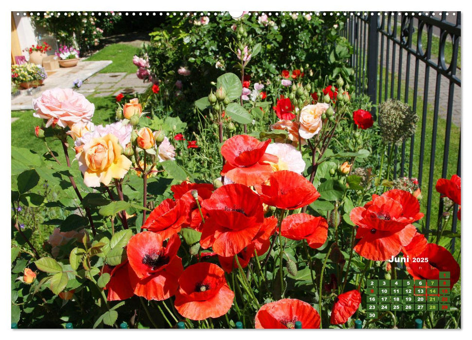 Urlaub im Garten (CALVENDO Premium Wandkalender 2025)