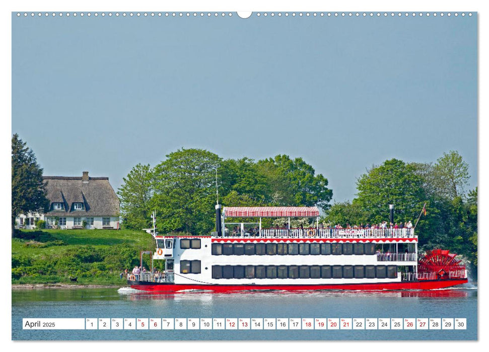 Die Schlei - Segelrevier und Naturpark (CALVENDO Premium Wandkalender 2025)