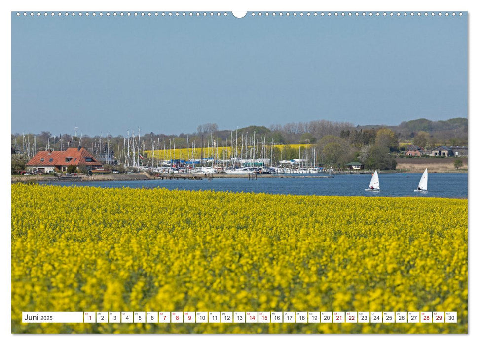 Die Schlei - Segelrevier und Naturpark (CALVENDO Premium Wandkalender 2025)