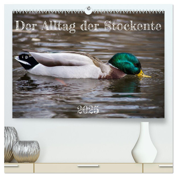 Der Alltag der Stockente (CALVENDO Premium Wandkalender 2025)