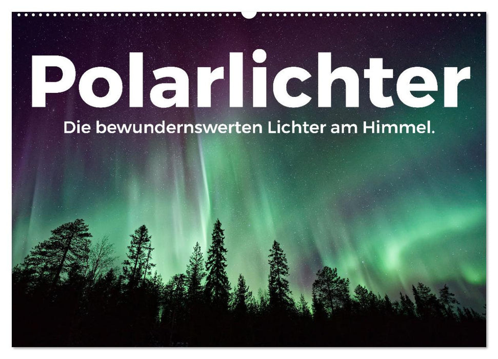 Polarlichter - Die bewundernswerten Lichter am Himmel. (CALVENDO Wandkalender 2025)