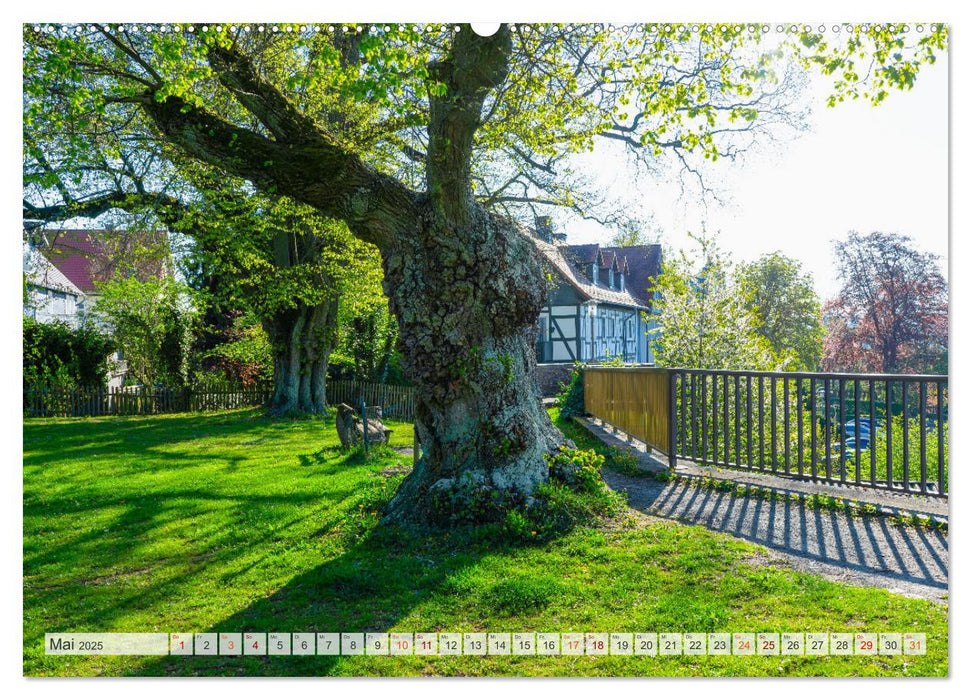 Frankenberg Hessen Impressionen (CALVENDO Premium Wandkalender 2025)