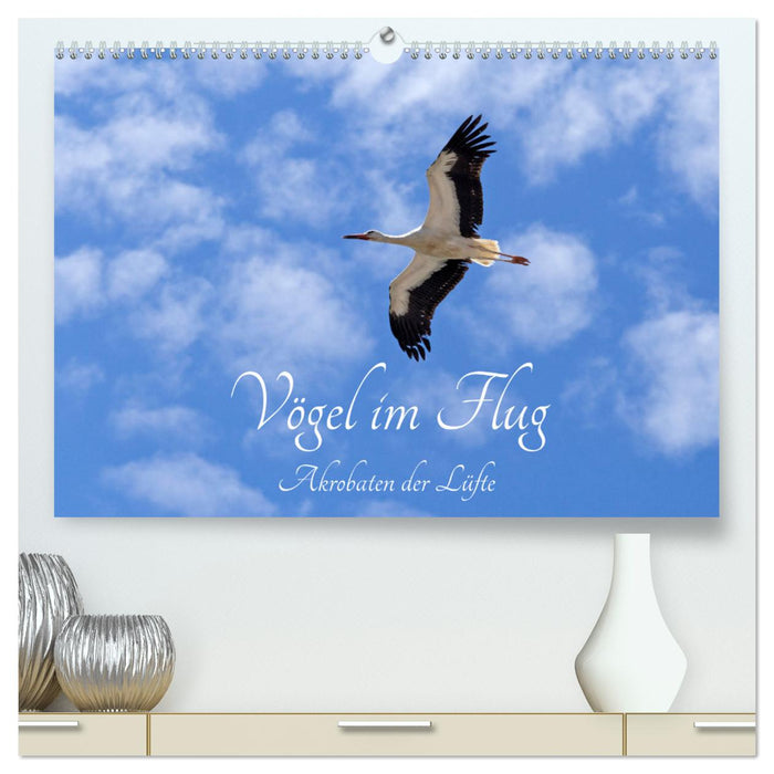 Vögel im Flug - Akrobaten der Lüfte (CALVENDO Premium Wandkalender 2025)