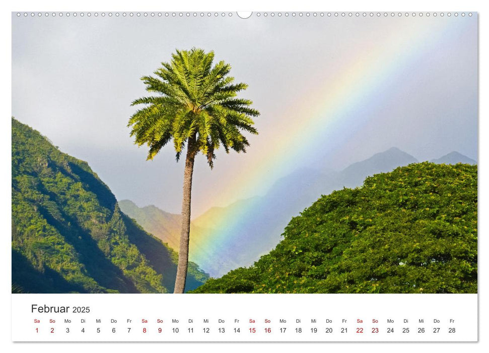 Regenbögen - Ein wunderschönes Naturphänomen. (CALVENDO Wandkalender 2025)