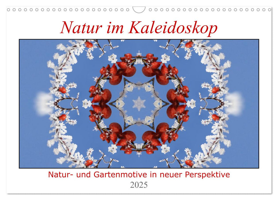 Natur im Kaleidoskop (CALVENDO Wandkalender 2025)