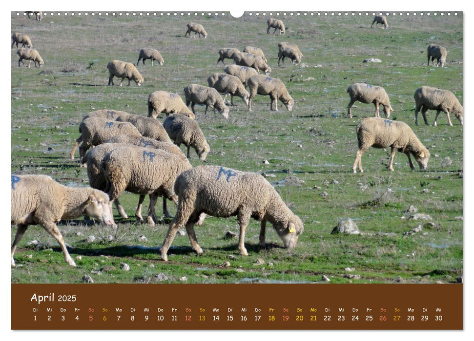 Extremadura Spanien (CALVENDO Premium Wandkalender 2025)