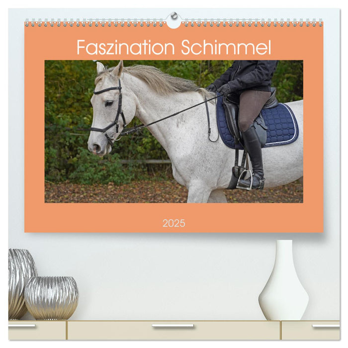 Faszination Schimmel (CALVENDO Premium Wandkalender 2025)