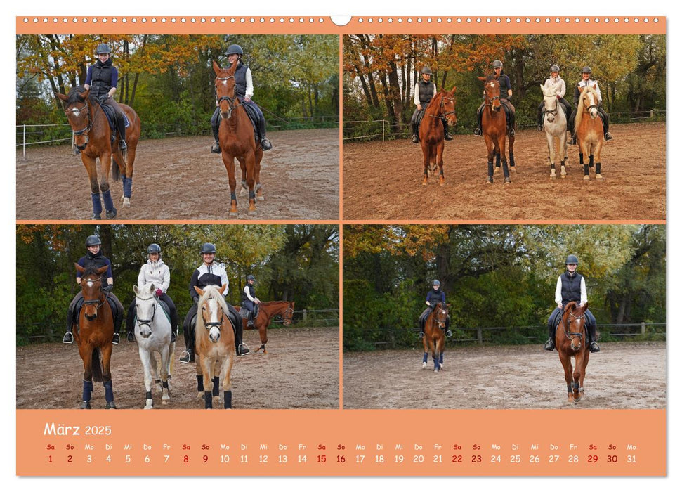 Faszination Reitsport (CALVENDO Premium Wandkalender 2025)