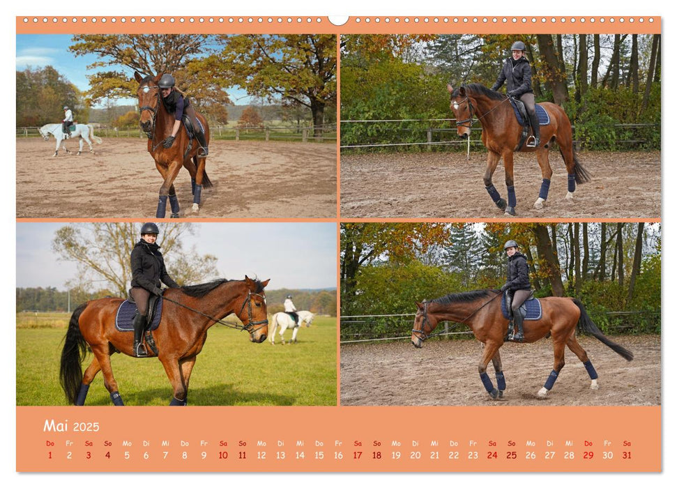 Faszination Reitsport (CALVENDO Premium Wandkalender 2025)