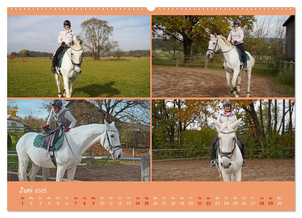 Faszination Reitsport (CALVENDO Premium Wandkalender 2025)