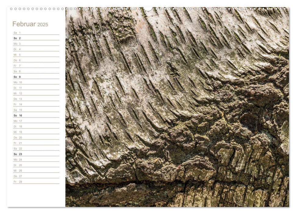 Naturkunstwerke - Strukturwelten (CALVENDO Premium Wandkalender 2025)