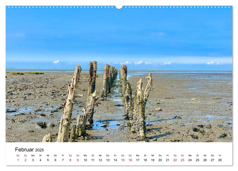 Watt'n Kalender: Nordseeküste (CALVENDO Wandkalender 2025)