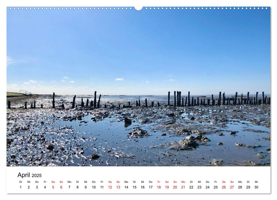 Watt'n Kalender: Nordseeküste (CALVENDO Wandkalender 2025)