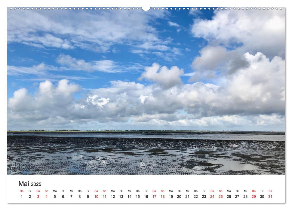 Watt'n Kalender: Nordseeküste (CALVENDO Wandkalender 2025)