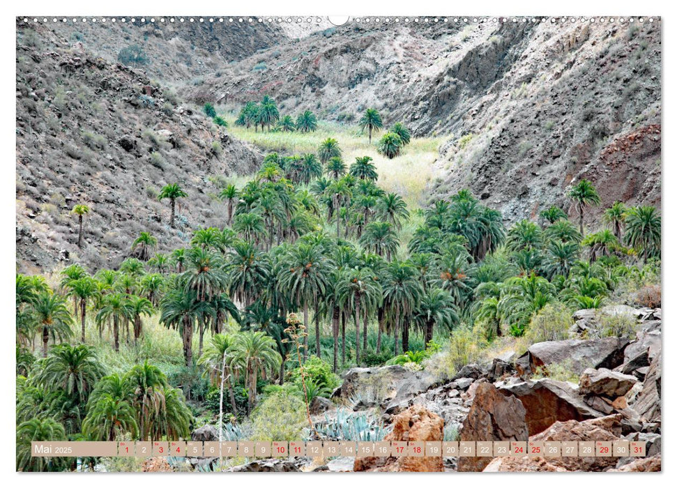 Urlaub auf Gran Canaria (CALVENDO Premium Wandkalender 2025)