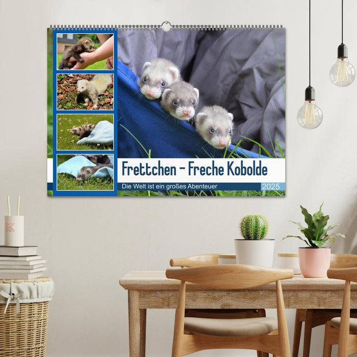 Frettchen - Freche Kobolde (CALVENDO Wandkalender 2025)