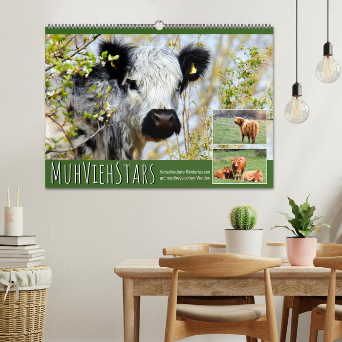 MuhViehStars (CALVENDO Wandkalender 2025)